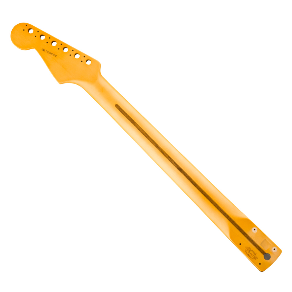 Fender フェンダー American Professional Classic Stratocaster Neck 22 Medium Jumbo Frets 9.5' Radius Rosewood ストラトキャスター ギターネック バック画像