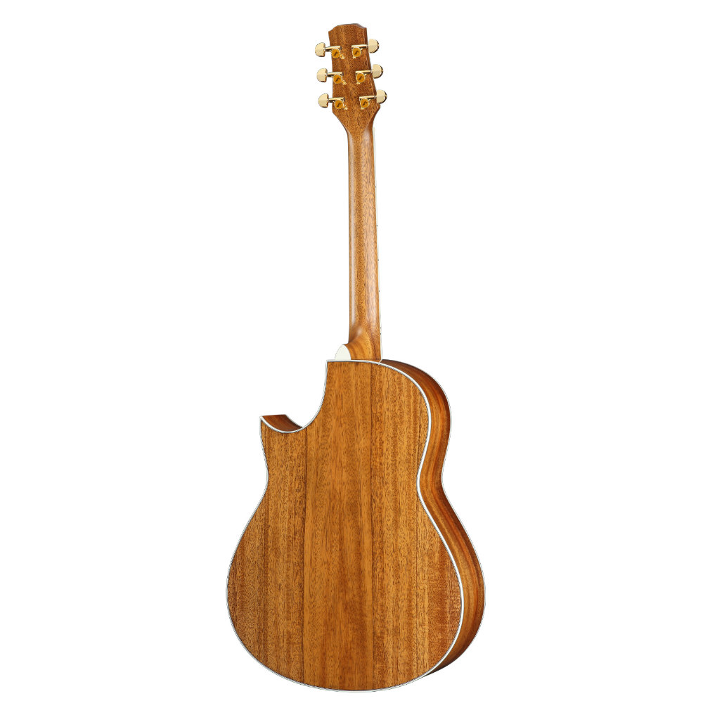 MORRIS モーリス TC-16 NAT エレクトリックアコースティックギター Natural バック画像