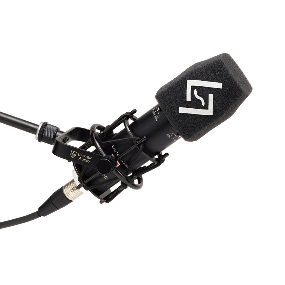LAUTEN AUDIO ローテンオーディオ LS-208 Schulze-Brakel Windscreen ウィンドスクリーン 使用イメージ