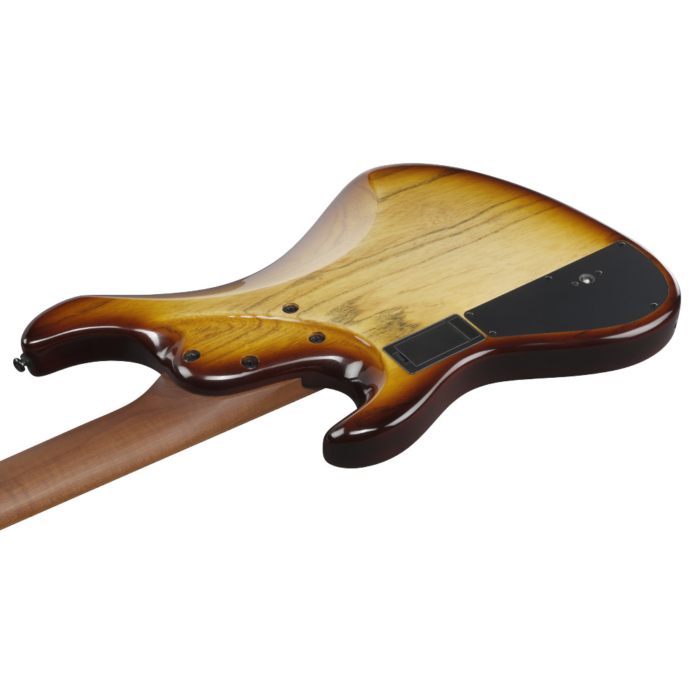 IBANEZ アイバニーズ MDM1305-NAB Mode Series Natural Stained Amber Burst 5弦エレキベース ボディバック斜め画像