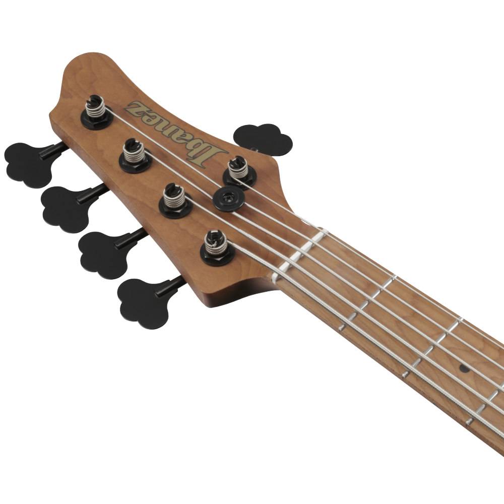 IBANEZ アイバニーズ MDM1305-NAB Mode Series Natural Stained Amber Burst 5弦エレキベース ヘッド画像