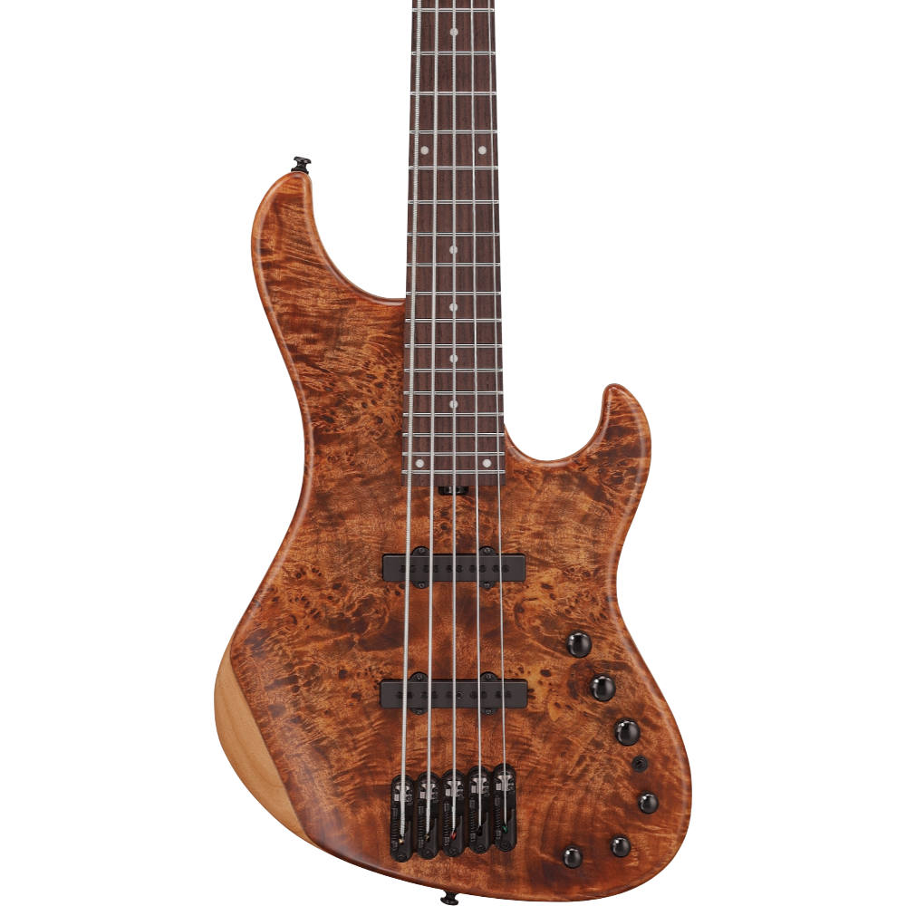 IBANEZ アイバニーズ MDM1605-NML Mode Series Natural Mocha Low Gloss 5弦エレキベース ボディ画像