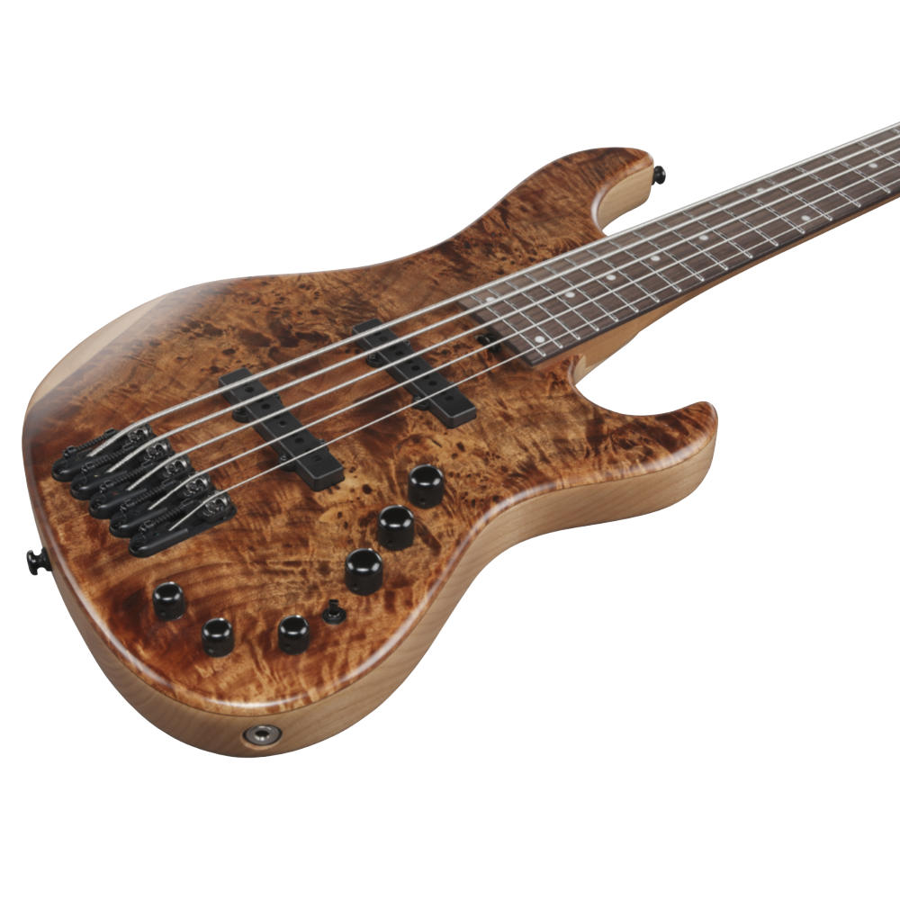 IBANEZ アイバニーズ MDM1605-NML Mode Series Natural Mocha Low Gloss 5弦エレキベース ボディ斜めアングル画像