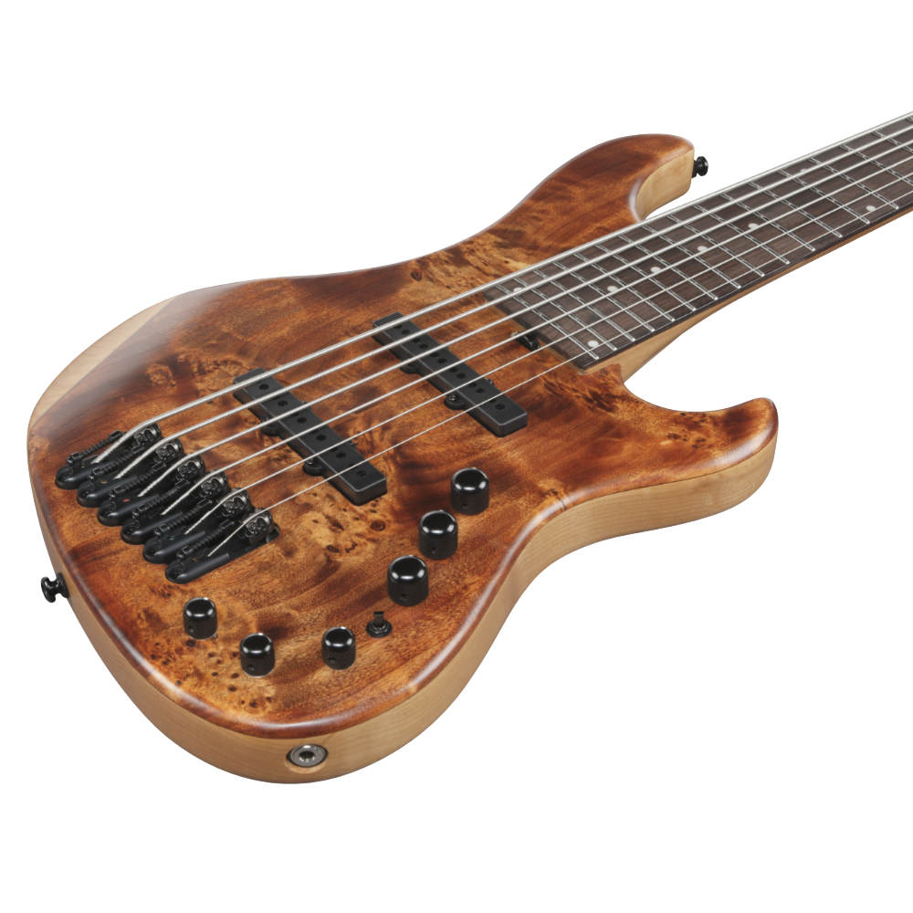 IBANEZ アイバニーズ MDM1606-NML Mode Series Natural Mocha Low Gloss 6弦エレキベース ボディ斜めアングル画像