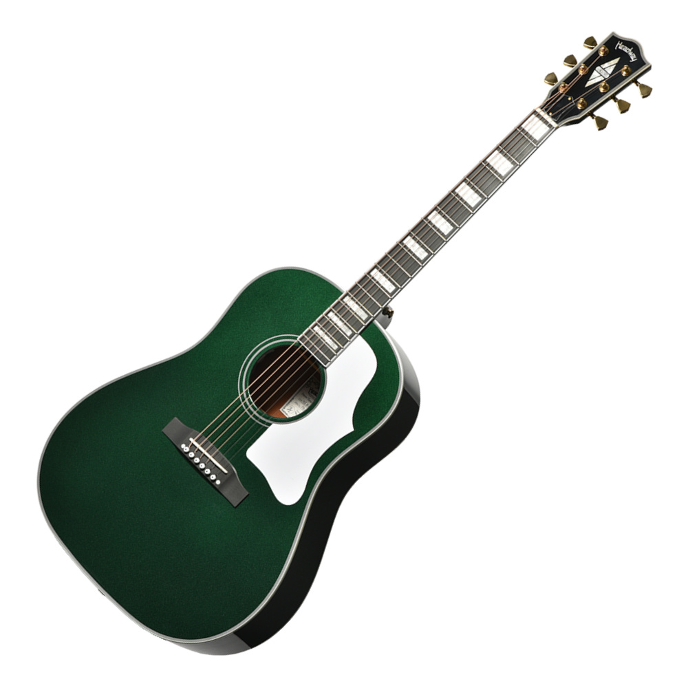 HEADWAY ヘッドウェイ Japan Tune-up Series HJ-BOOGIE-JT DFG エレクトリックアコースティックギター エレアコ