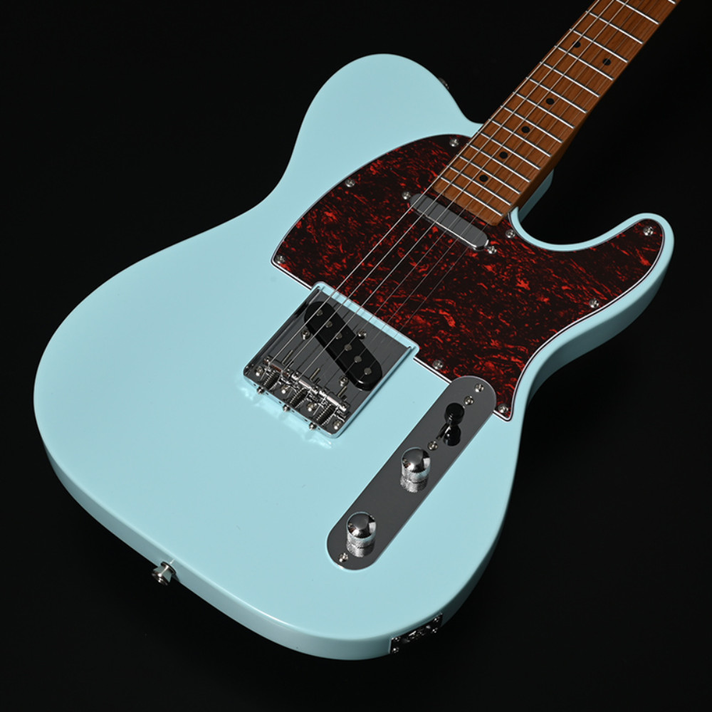 BACCHUS バッカス Universe Series BTE-1-RSM/M-TTPG PTL-SOB エレキギター ボディ部