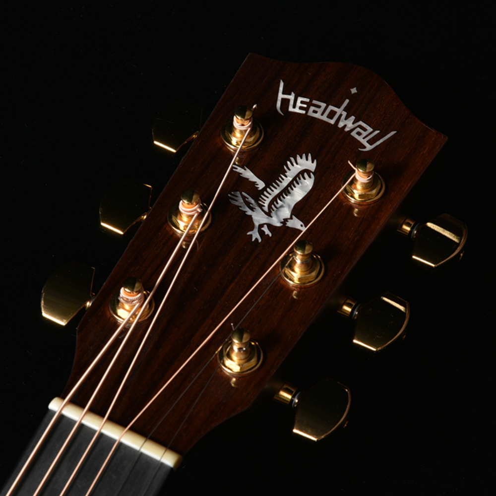 HEADWAY ヘッドウェイ Standard Series The Eagle/STD Type D B-GRD アコースティックギター ヘッド部