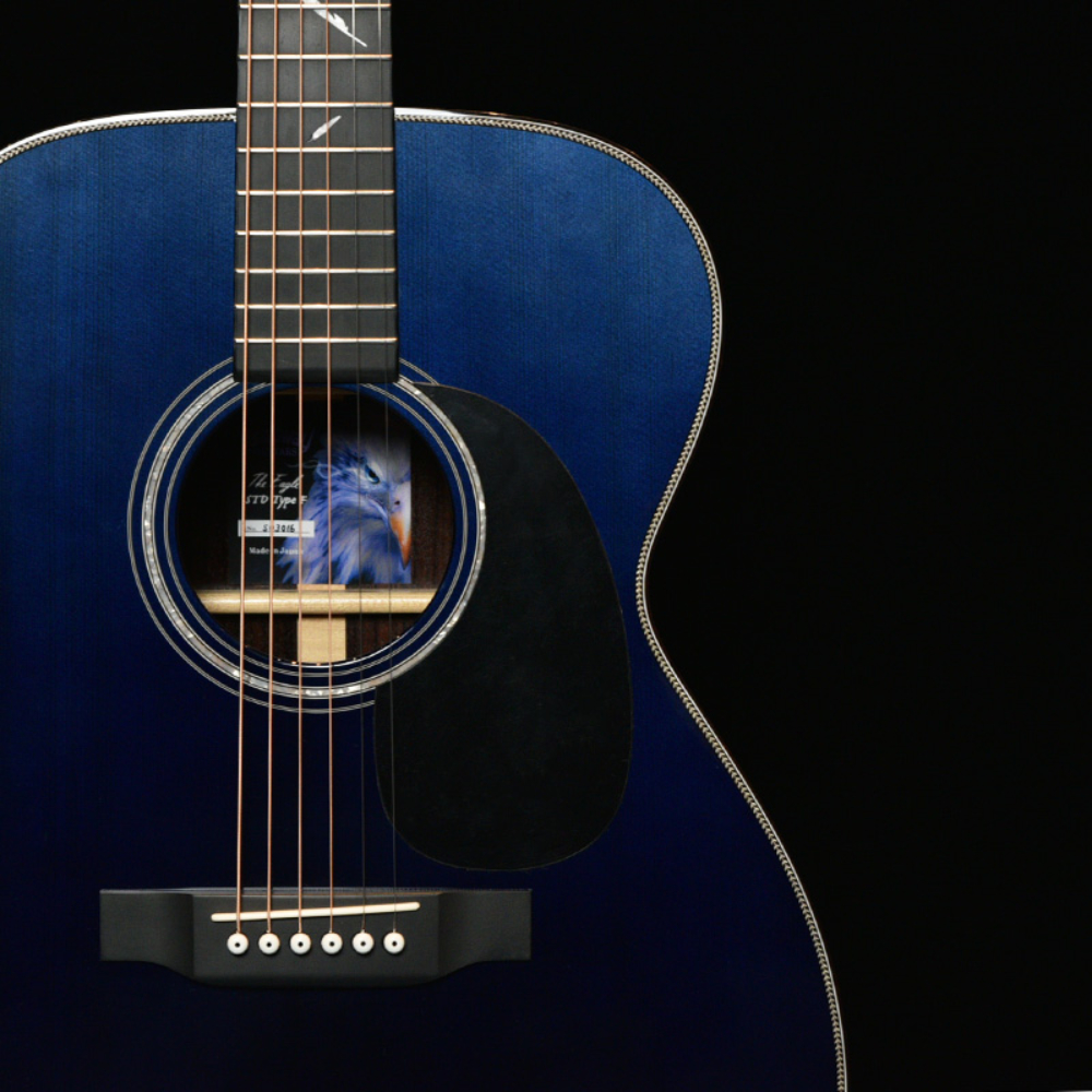 HEADWAY ヘッドウェイ Standard Series The Eagle/STD Type F B-GRD アコースティックギター ボディ部