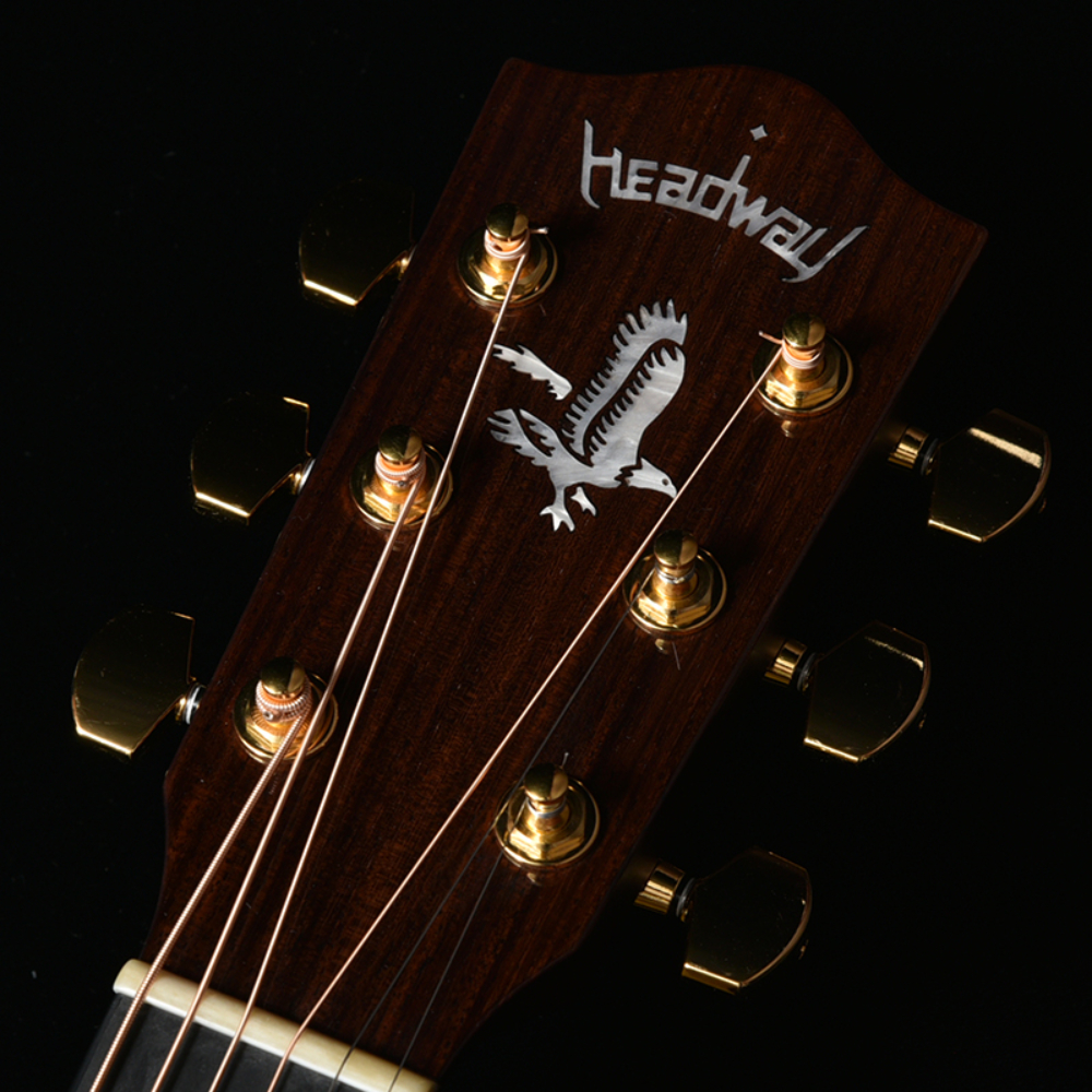 HEADWAY ヘッドウェイ Standard Series The Eagle/STD Type F B-GRD アコースティックギター ヘッド部