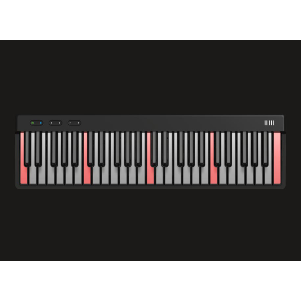 ROLI ロリ PIANO 49鍵 MIDIキーボード プロモード画像