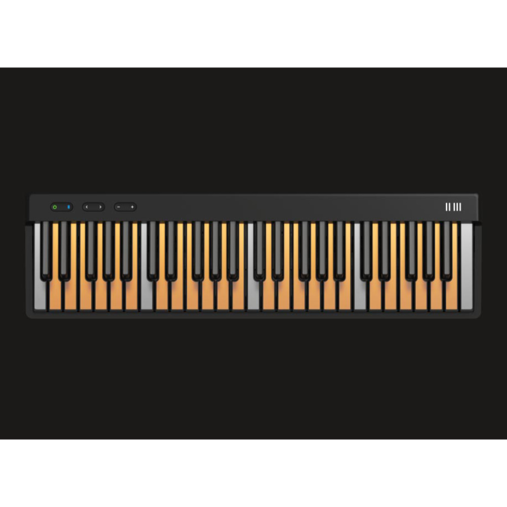 ROLI ロリ PIANO 49鍵 MIDIキーボード ユーザーモード画像
