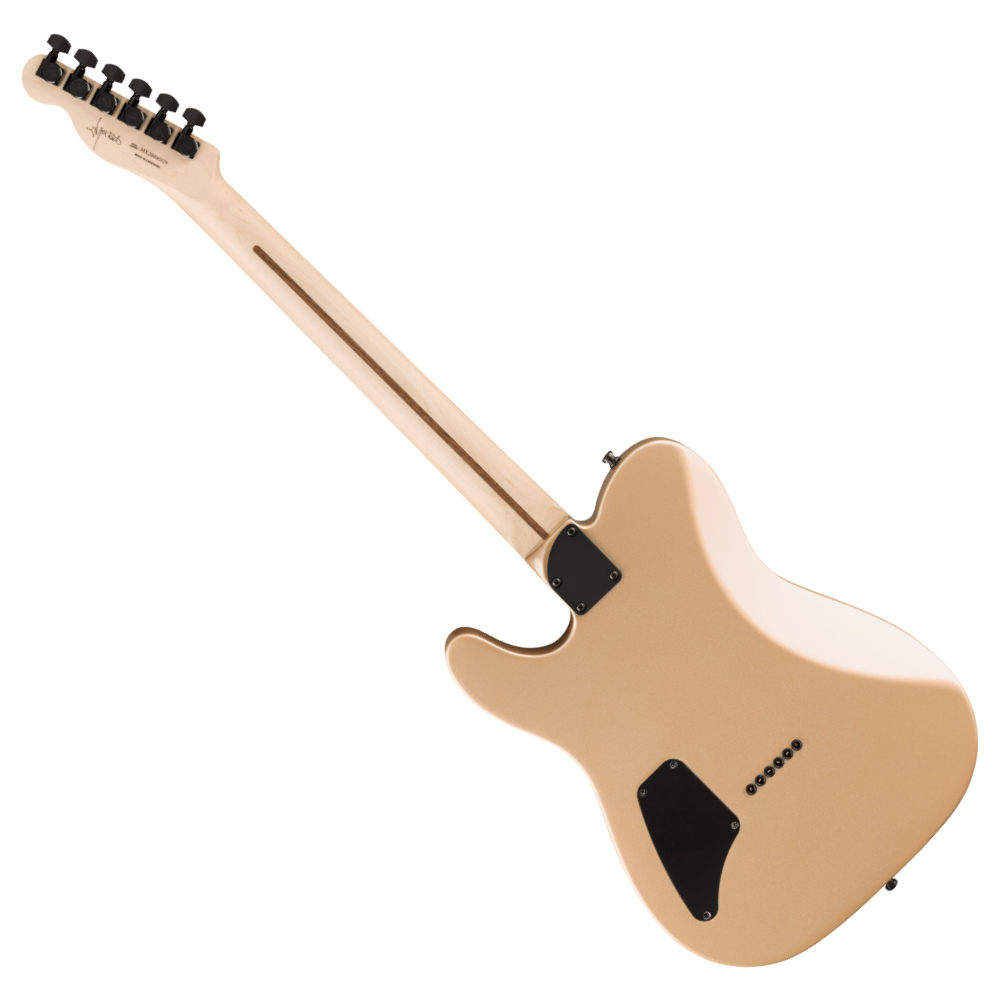 Fender フェンダー Limited Edition Jim Root Telecaster EB Shoreline Gold エレキギター テレキャスター バック画像