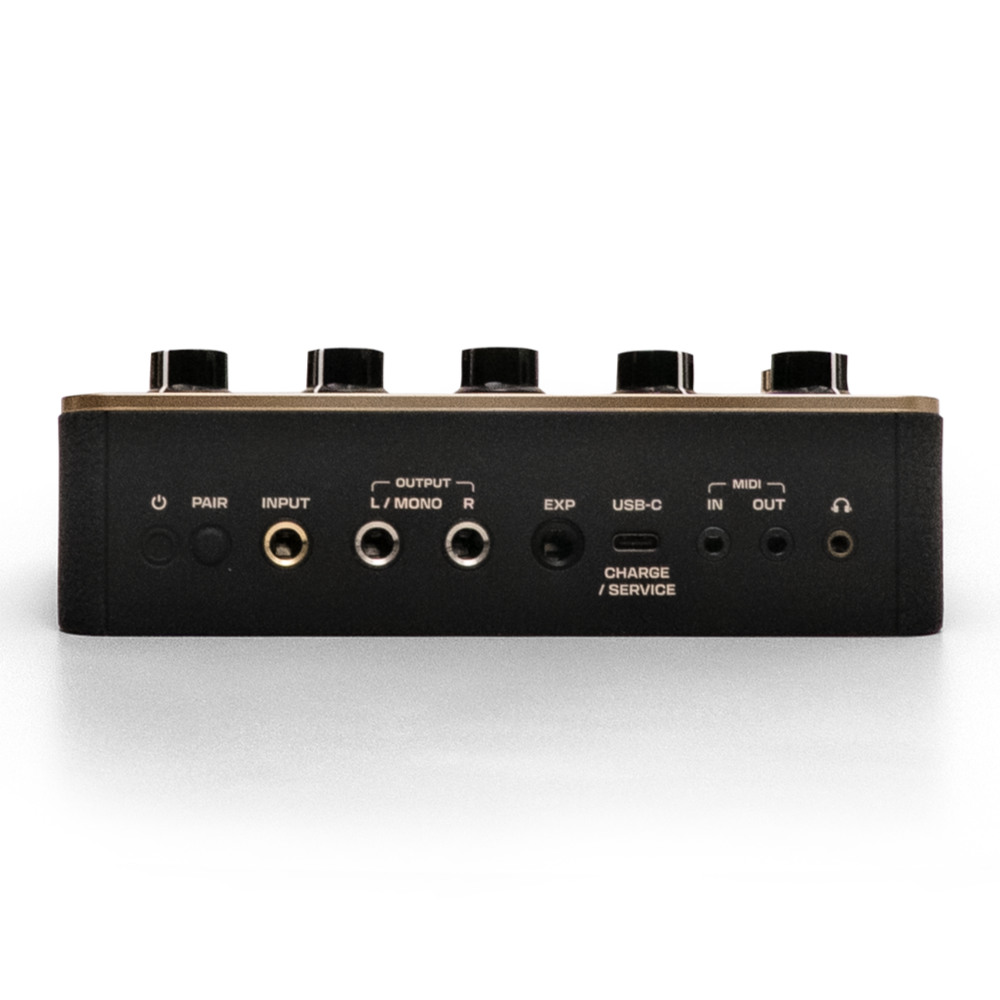 Positive Grid ポジティブグリッド Spark PEDAL アンプリグ  エフェクトプロセッサー ルーパー フットペダル リア画像