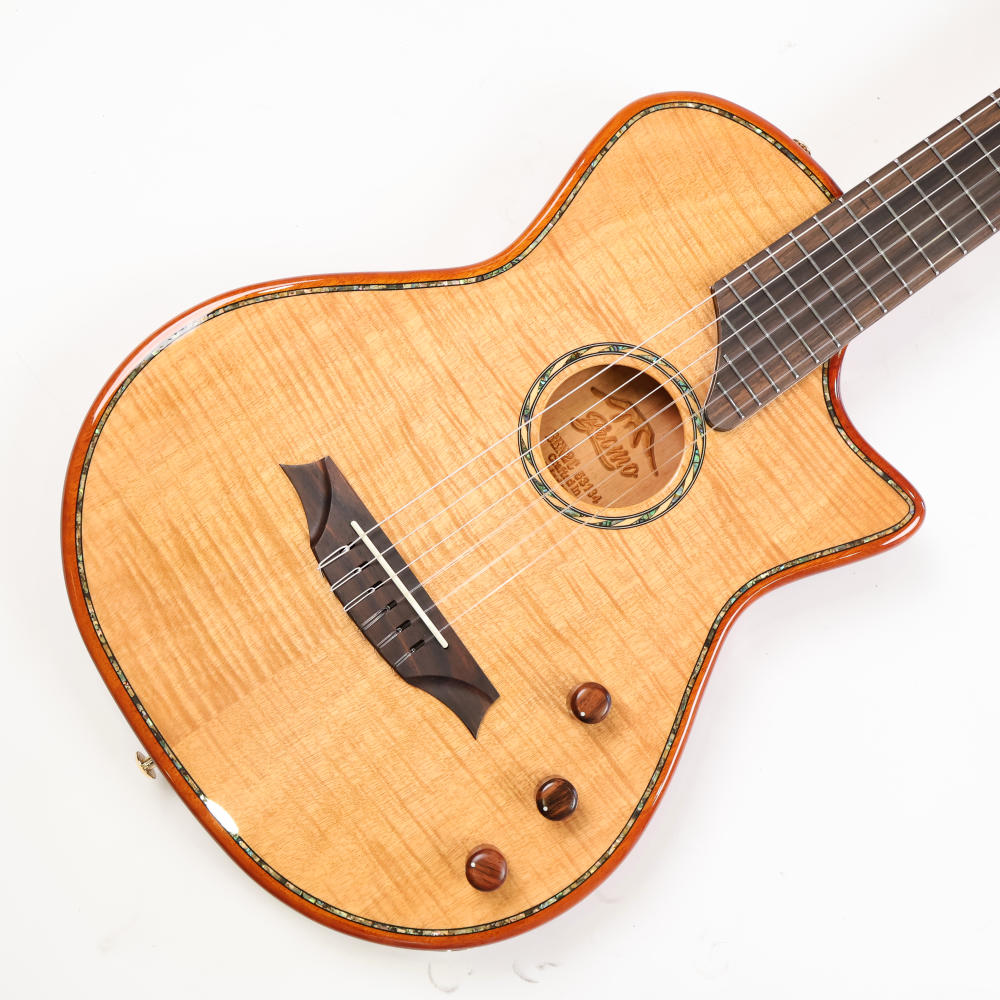 【訳あり】アウトレット Bromo Guitars ブロモギターズ BEN2C エレクトリックナイロンギター 詳細画像