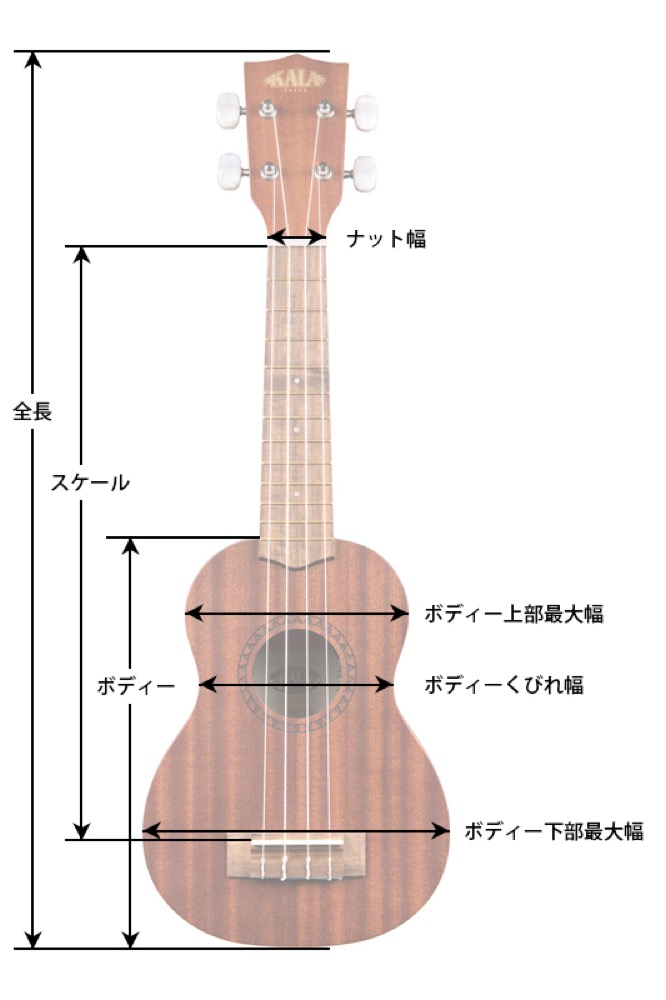 詳細画像