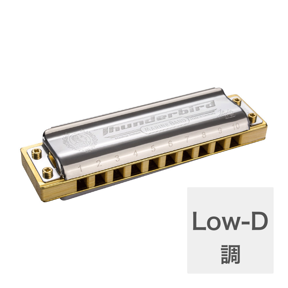 HOHNER Marine Band Thunderbird X Low-D 10ホールハーモニカ
