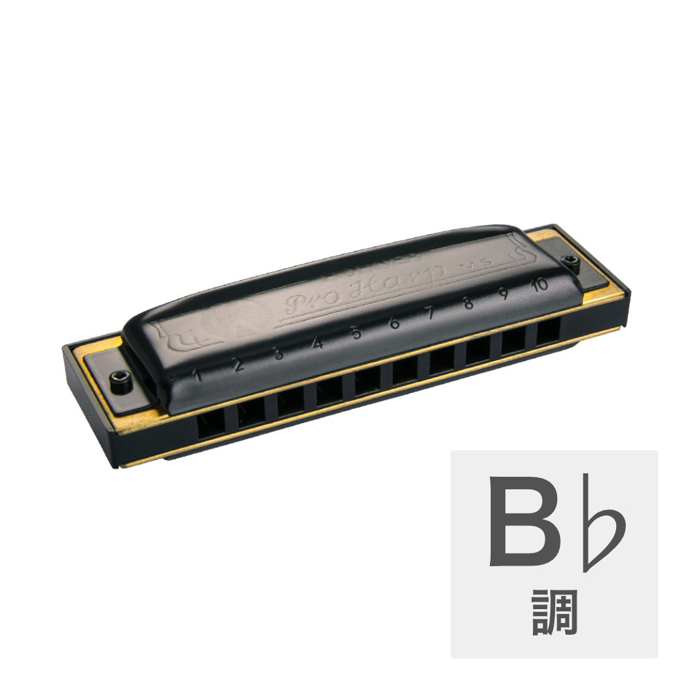 HOHNER Pro Harp MS X 562/20MSX B♭ 10ホールハーモニカ