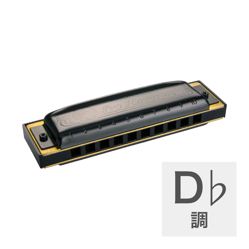 HOHNER Pro Harp MS X 562/20MSX D♭ 10ホールハーモニカ