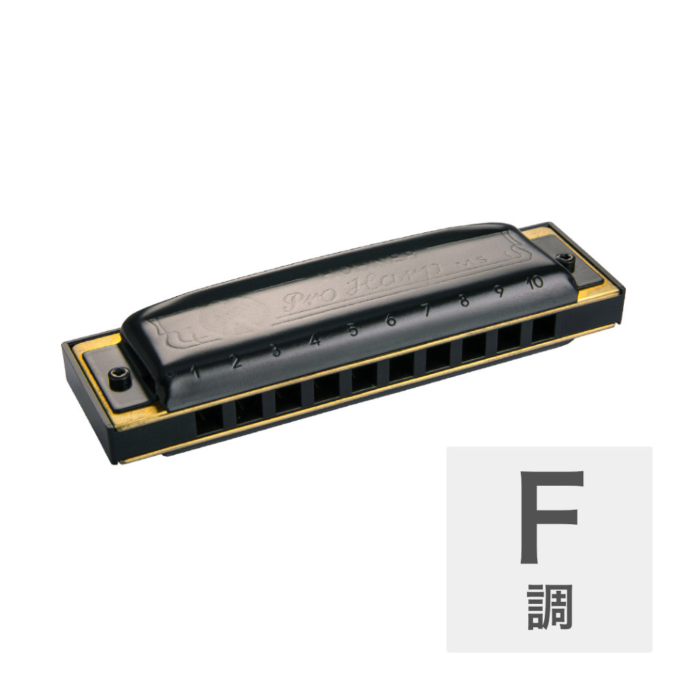 HOHNER Pro Harp MS X 562/20MSX F 10ホールハーモニカ