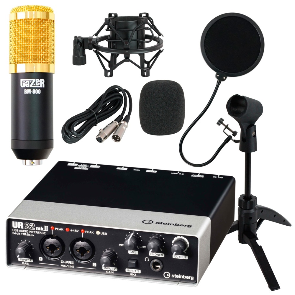 steinberg UR22mkII 2x2 USB 2.0 オーディオインターフェース SD GAZER BM-800 Black コンデンサーマイク Dicon Audio 卓上マイクスタンド SD GAZER ポップガード DTM 配信 4点セット