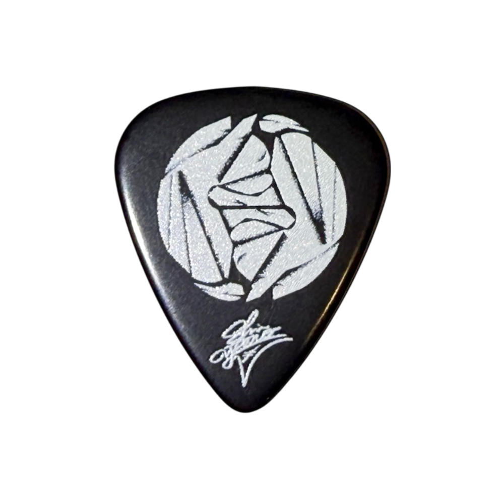 MASTER 8 JAPAN マスターエイトジャパン GGVSHIN2-095 go!go!vanillas 柳沢進太郎 Signature Model (2nd) 0.95mm ギターピック×10枚 裏