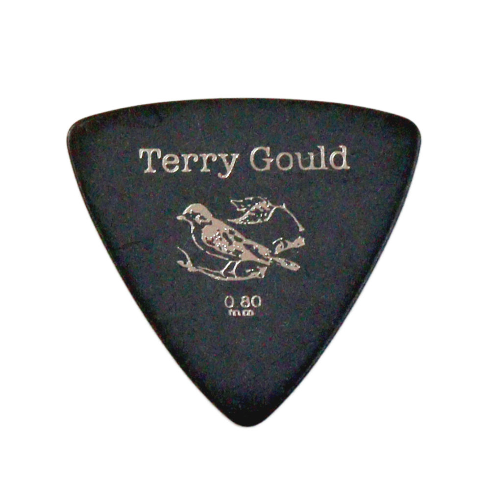 PICK BOY GP-TG-RB/0.80 ギターピック×10枚